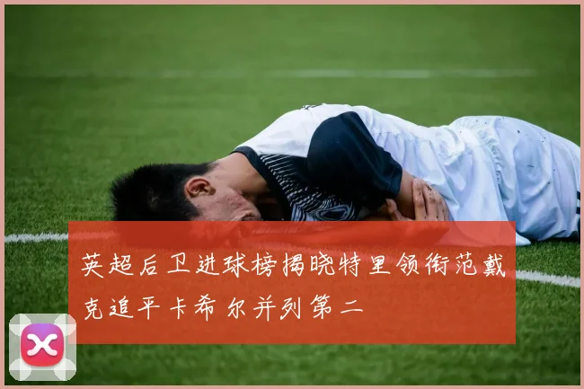 英超后卫进球榜揭晓特里领衔范戴克追平卡希尔并列第二